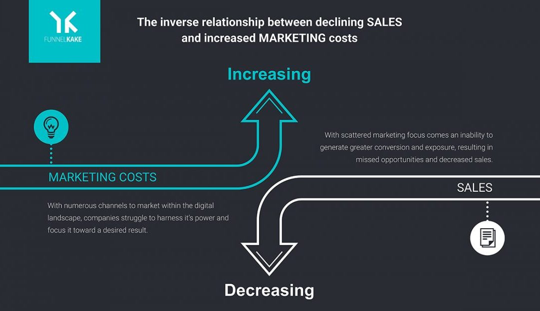 Ecommerce Case Study: Declining Revenue and Increased Marketing Costs